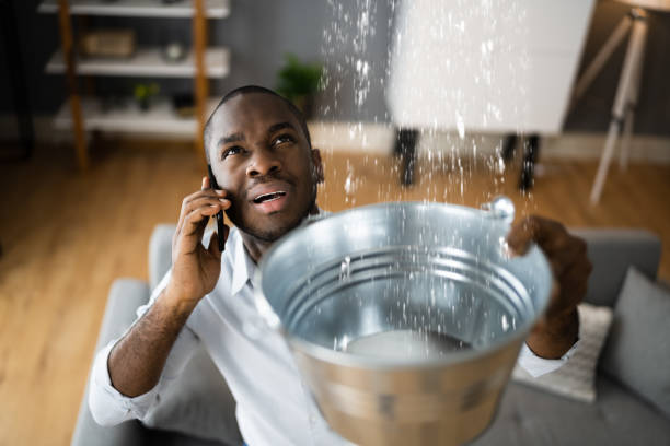 Best Residential water damage restoration  in Stanleytown, VA
