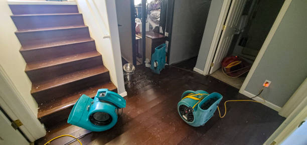  Stanleytown, VA Water damage restoration Pros