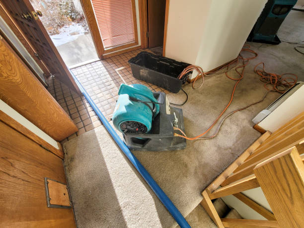 Best Water damage restoration near me  in Stanleytown, VA