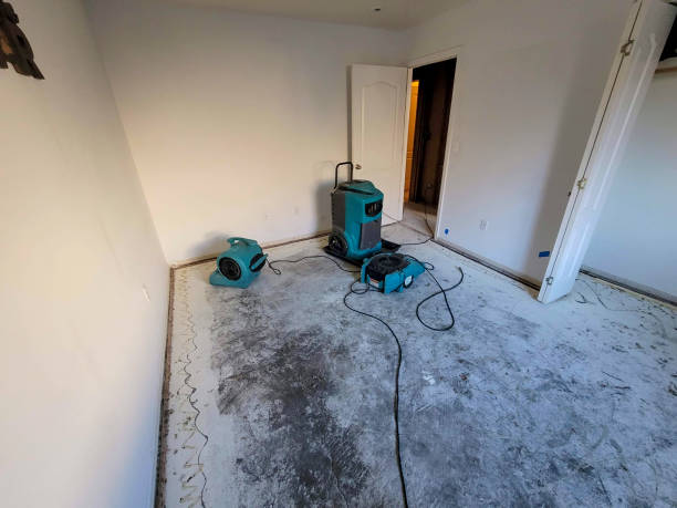  Stanleytown, VA Water damage restoration Pros