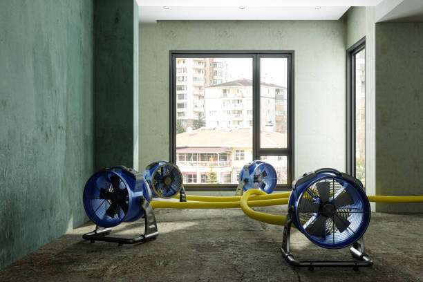 Best Sewage cleanup and water damage restoration  in Stanleytown, VA