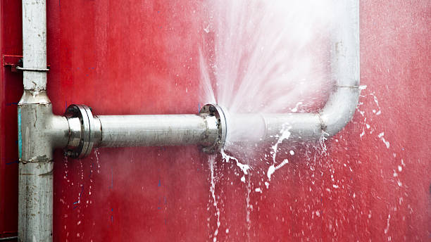 Best Basement water damage restoration  in Stanleytown, VA